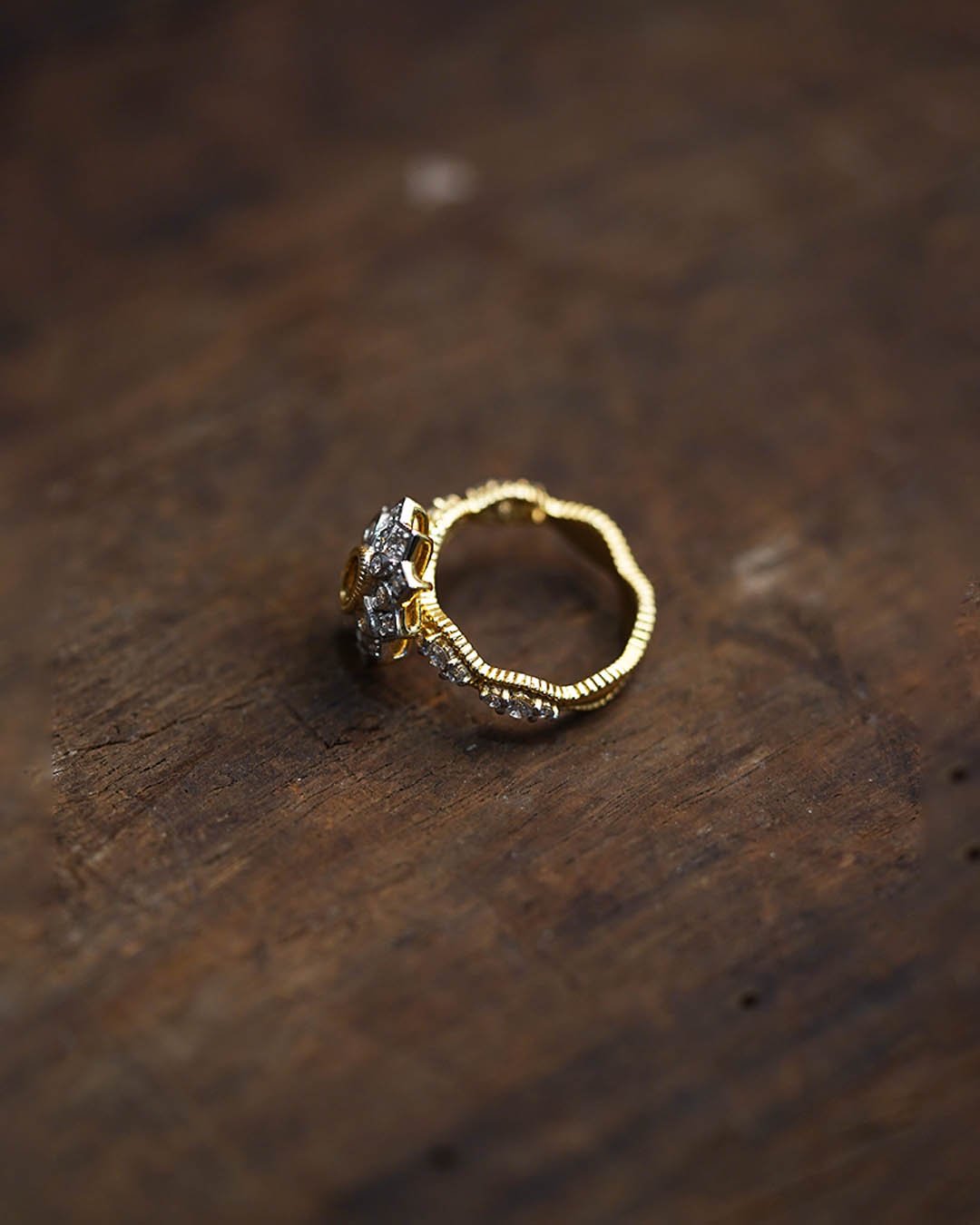 Reha Ring