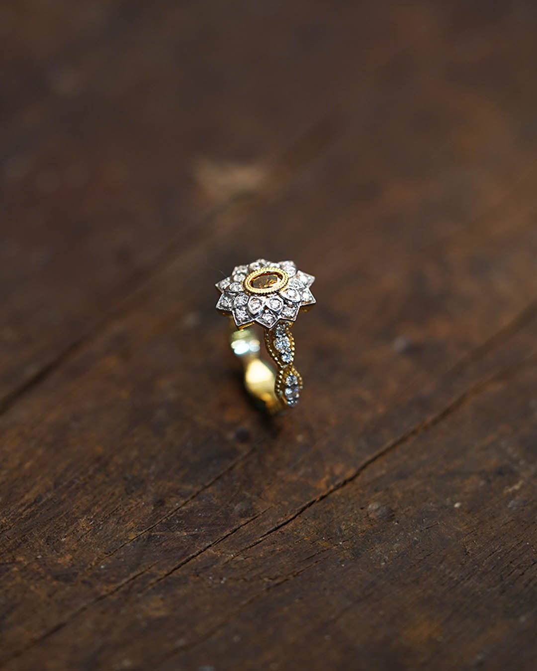 Reha Ring